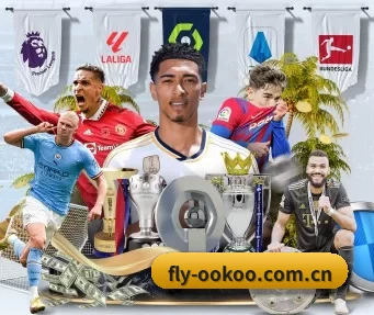 fly-ookoo.com.cn APP | aoko